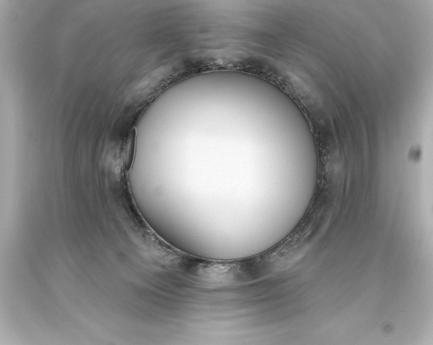 X0000093620129200710291234