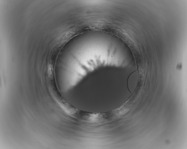 X0000093620130200710291234