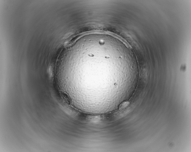 X0000093620131200710291234