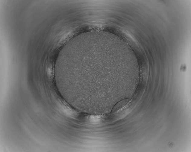 X0000093620134200710291234