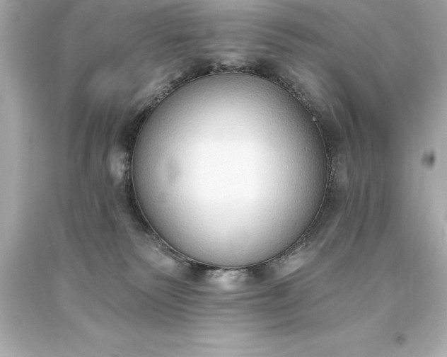 X0000093620135200710291234