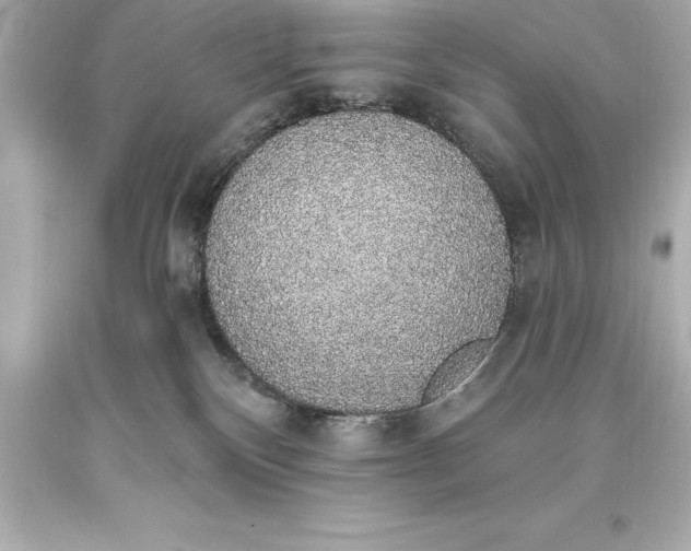 X0000093620136200710291234