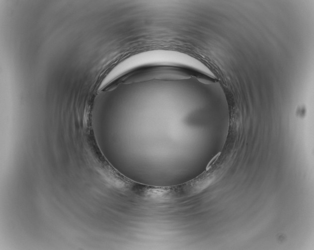X0000093620139200710291234