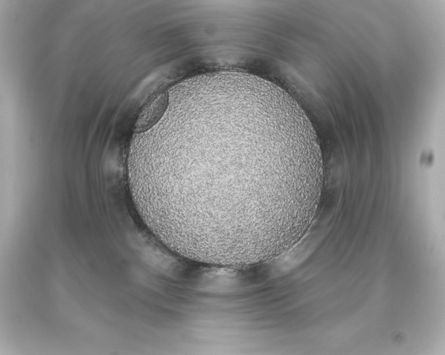 X0000093620140200710291234