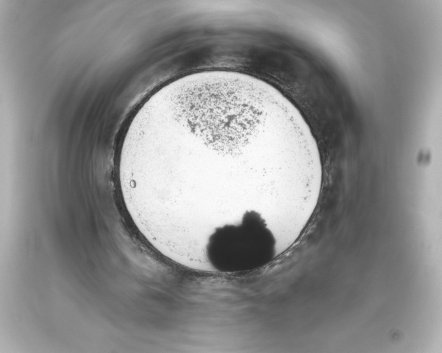 X0000093620146200710291233
