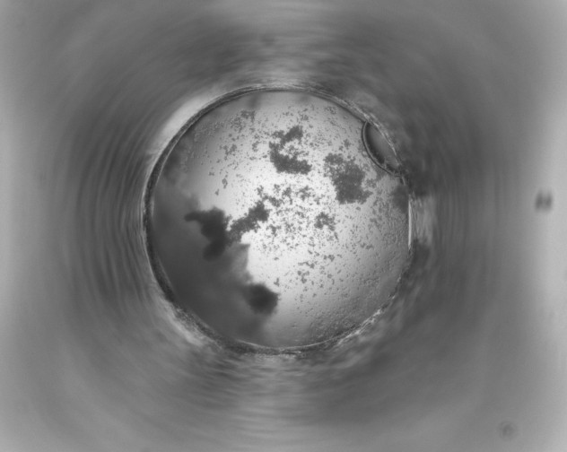 X0000093620147200710291233