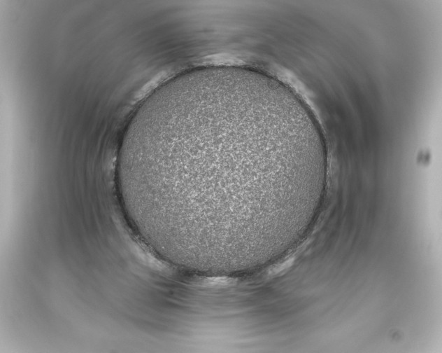 X0000093620153200710291233
