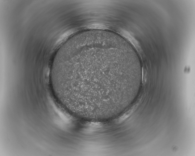 X0000093620157200710291233