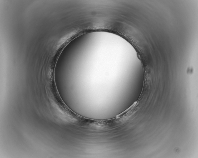 X0000093620164200710291233