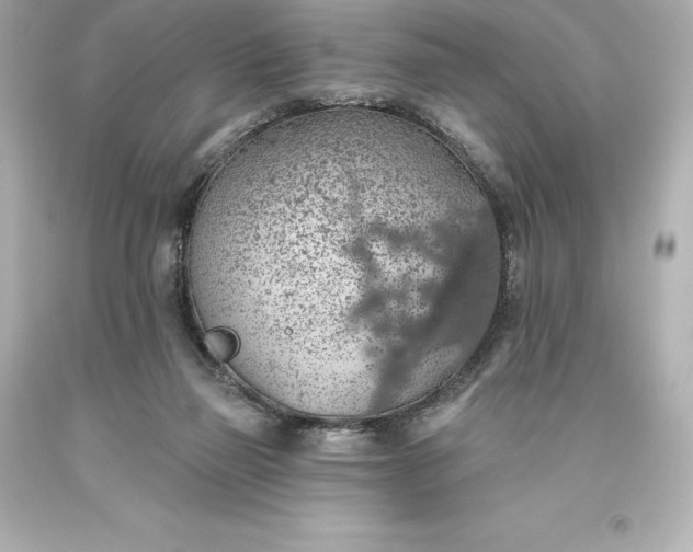 X0000093620165200710291233