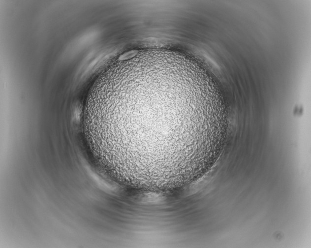 X0000093620166200710291233