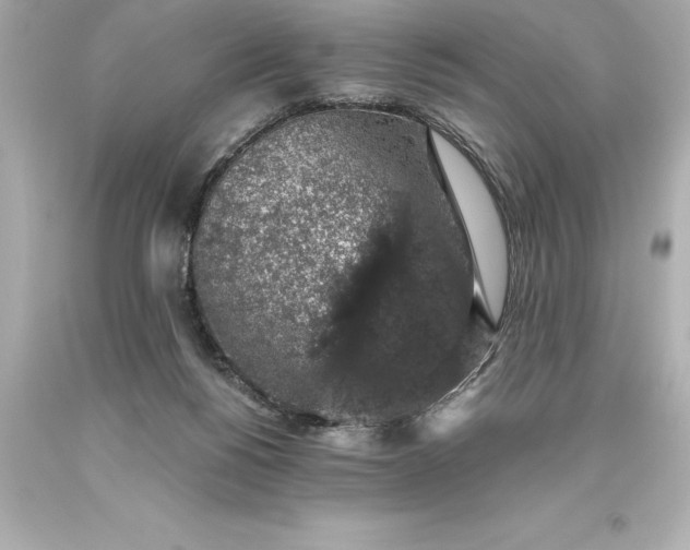 X0000093620168200710291233