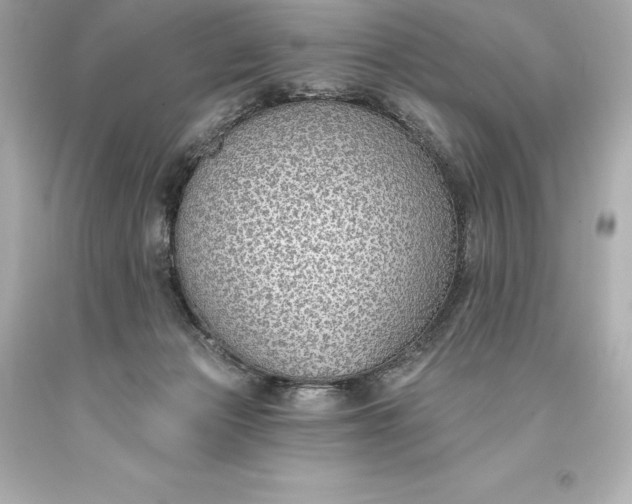 X0000093620173200710291233