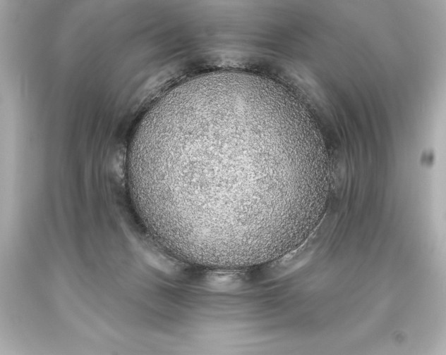 X0000093620175200710291233