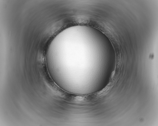 X0000093620176200710291233