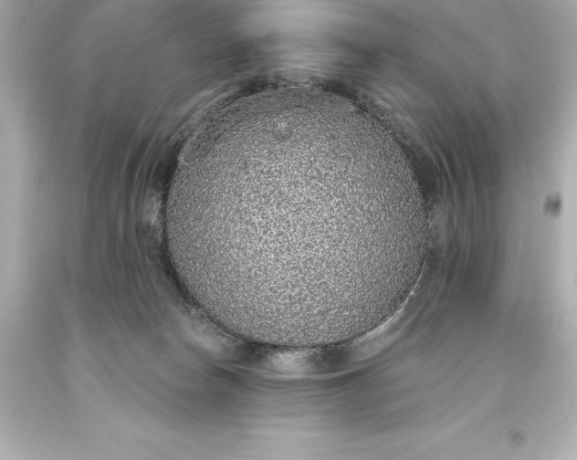 X0000093620178200710291233