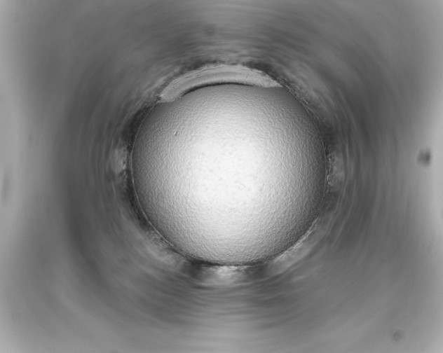 X0000093620184200710291233
