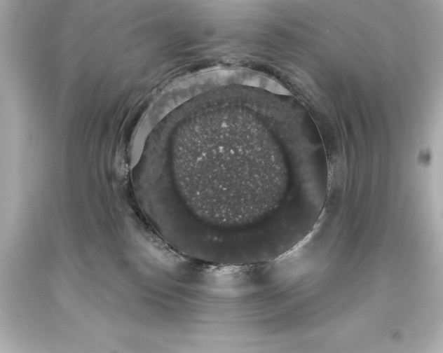 X0000093620186200710291233
