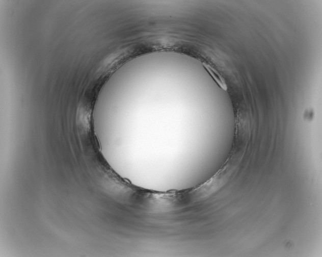 X0000093620188200710291234