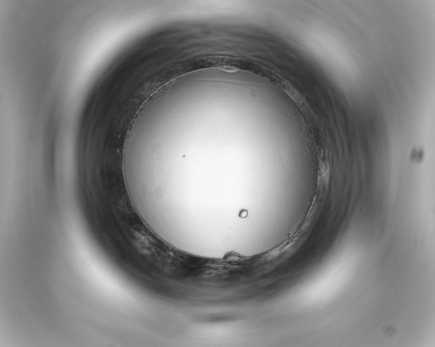 X0000093620190200710291234