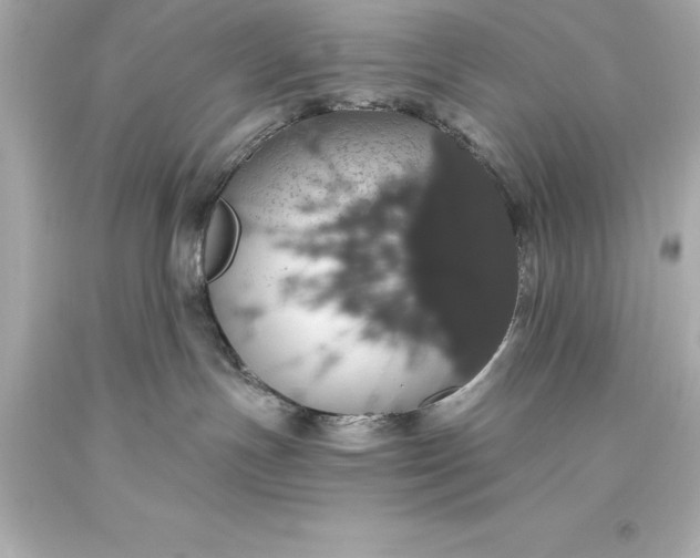 X0000093620191200710291234