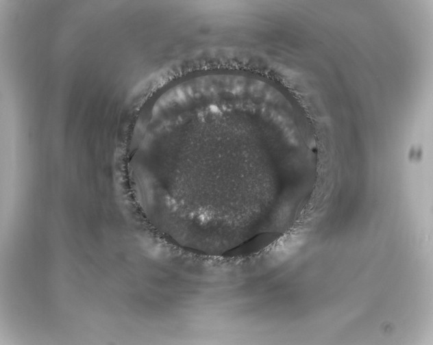 X0000093620192200710291234