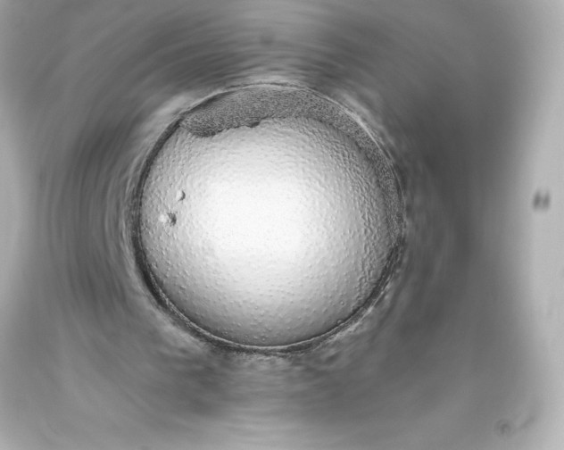 X0000093620193200710291233