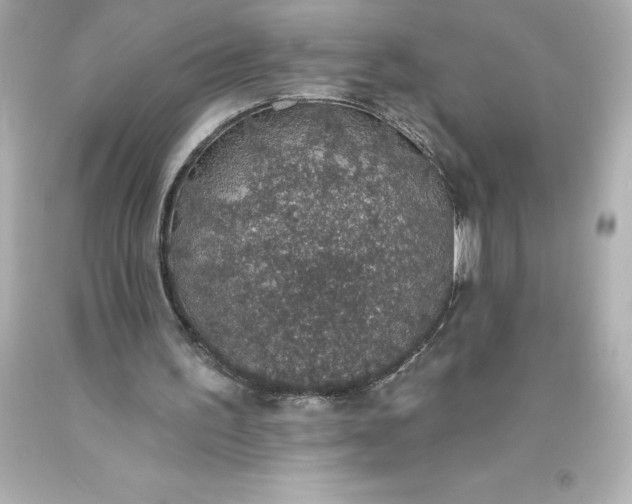 X0000093620195200710291233