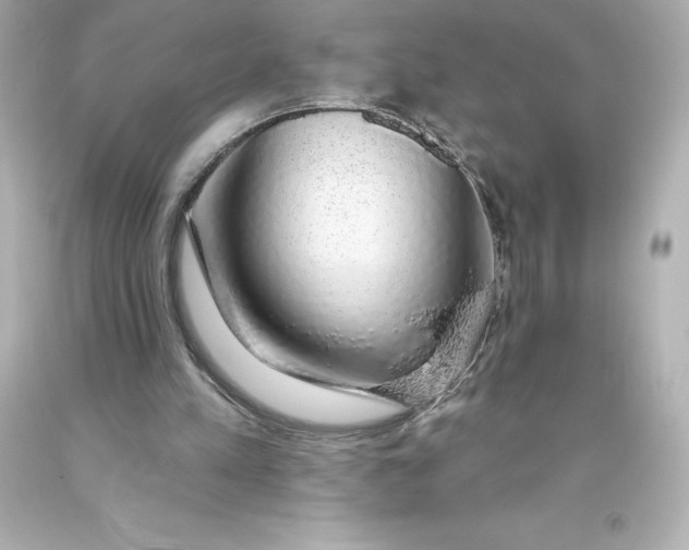 X0000093620197200710291233
