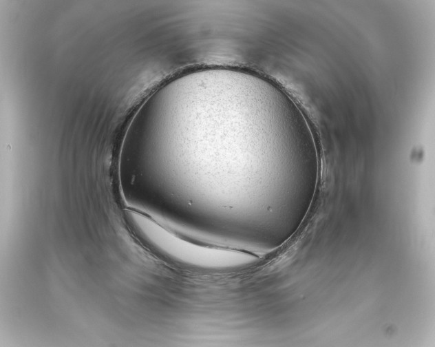 X0000093620201200710291233