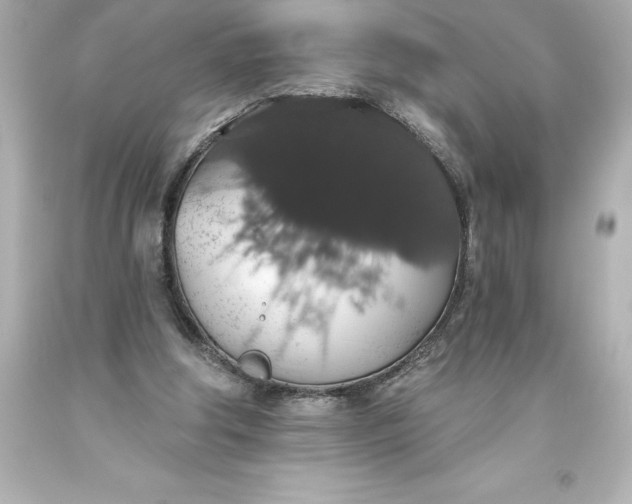 X0000093620202200710291233