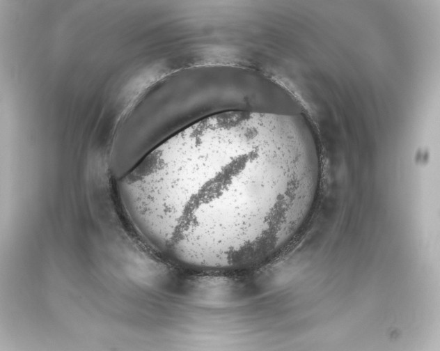 X0000093620203200710291233
