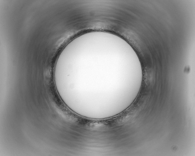X0000093620208200710291233