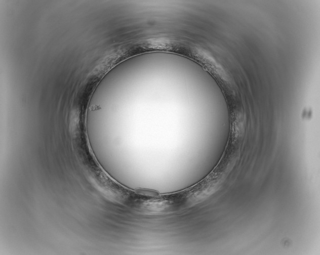 X0000093620213200710291233