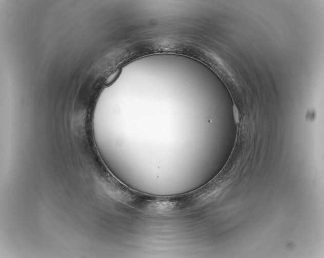 X0000093620217200710291233