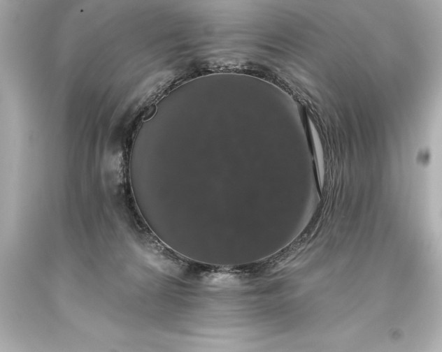 X0000093620224200710291232