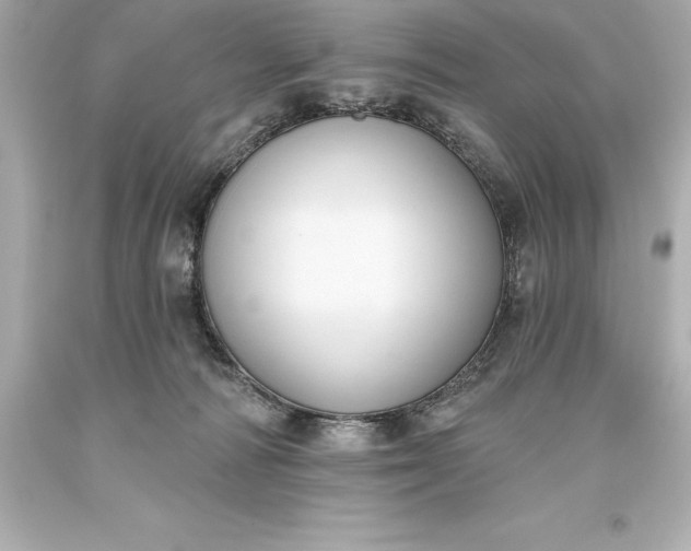X0000093620226200710291232