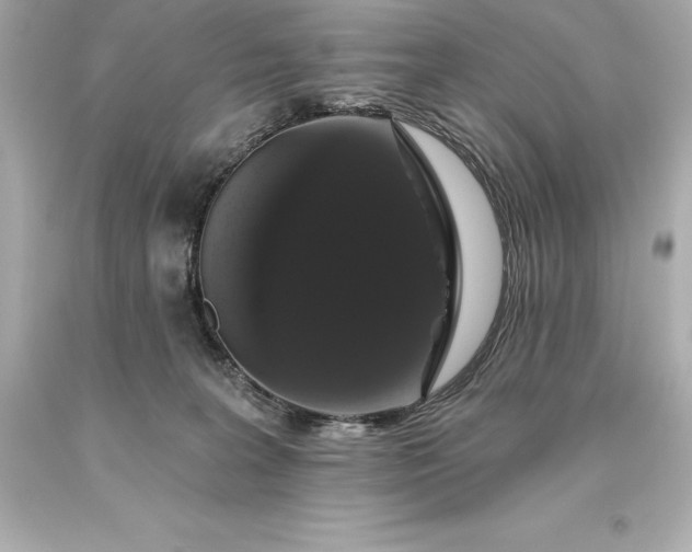 X0000093620227200710291232