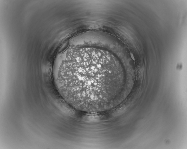 X0000093620228200710291232