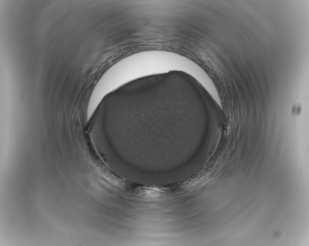 X0000093620229200710291232