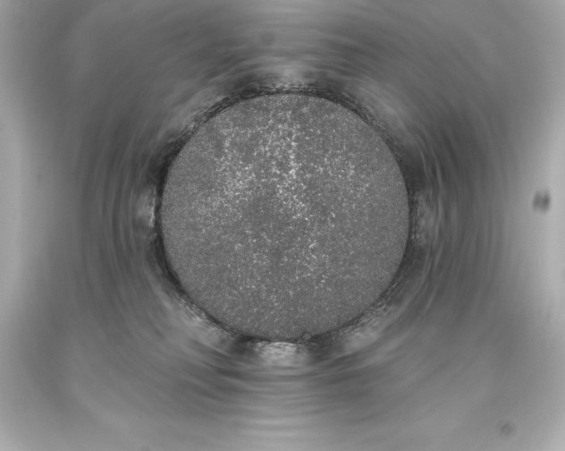 X0000093620230200710291232