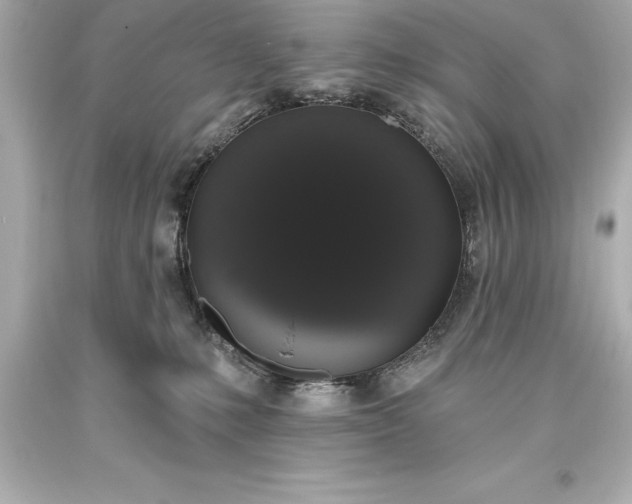 X0000093620231200710291232