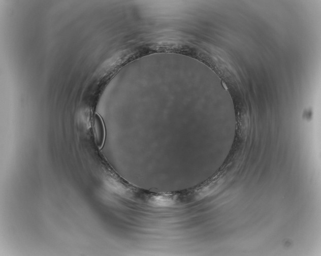 X0000093620232200710291232