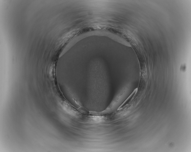 X0000093620233200710291232