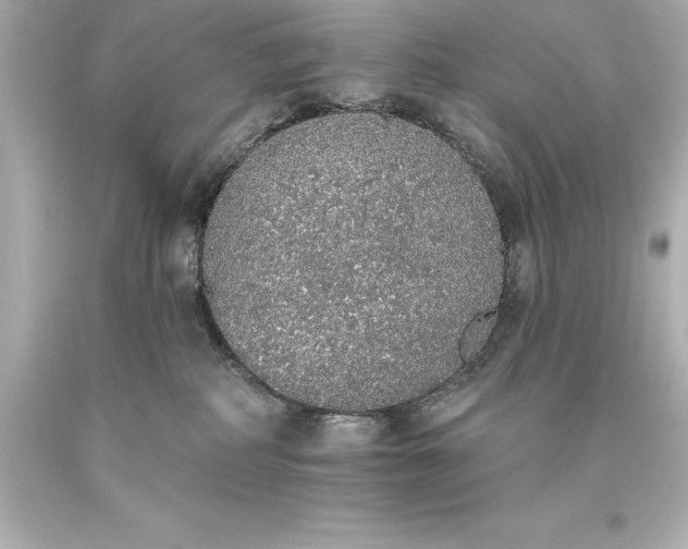 X0000093620234200710291232