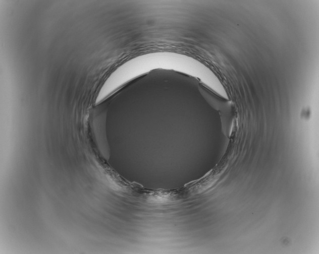 X0000093620235200710291232