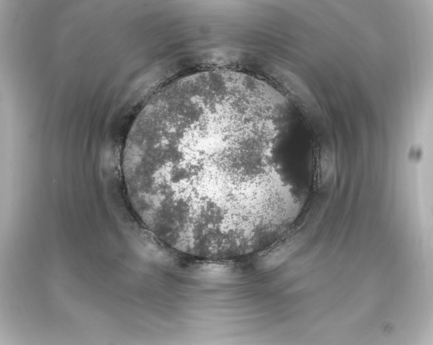 X0000093620236200710291232