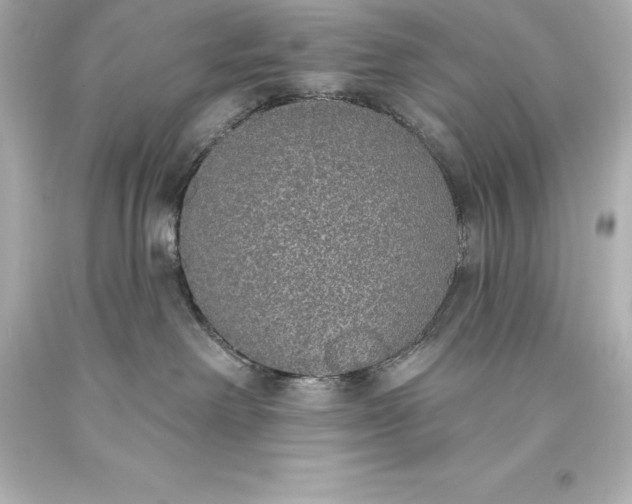 X0000093620238200710291232