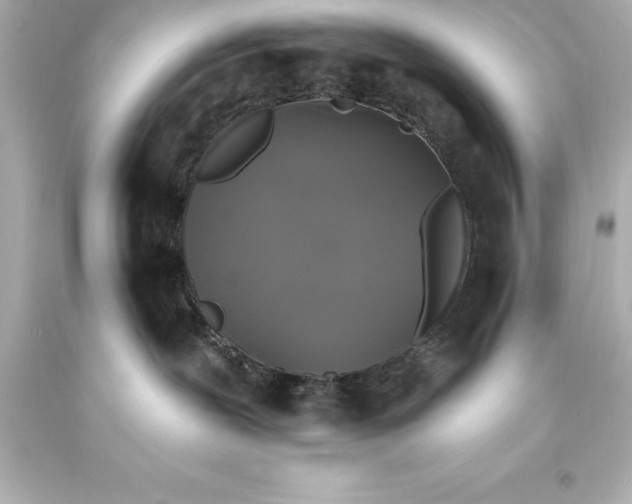 X0000093620239200710291232
