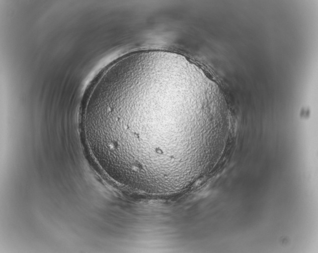 X0000093620244200710291232